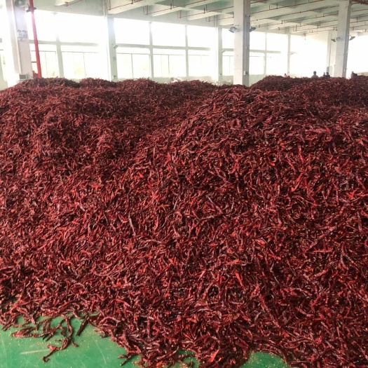 遵义 遵义虾子精品干辣椒
