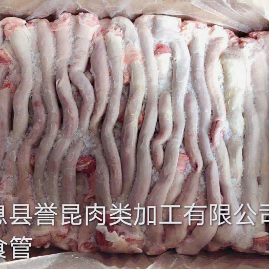 兰考县猪食管