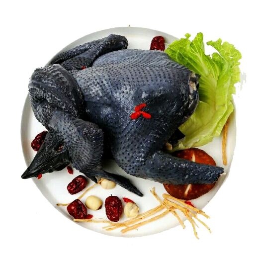 佛山白羽乌鸡  乌鸡.竹丝鸡