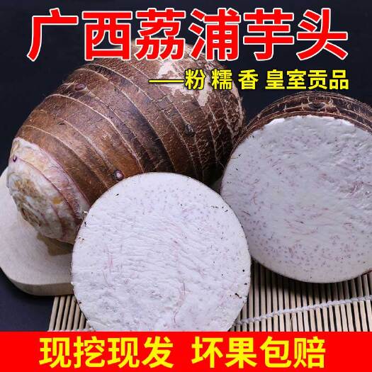 荔浦市 正宗荔浦香芋荔浦芋头粉香糯基地直供一手货源电商一件代发