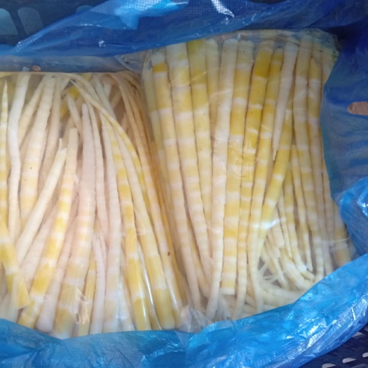 金沙县泡椒 6-12个月 泡椒 6-12个月