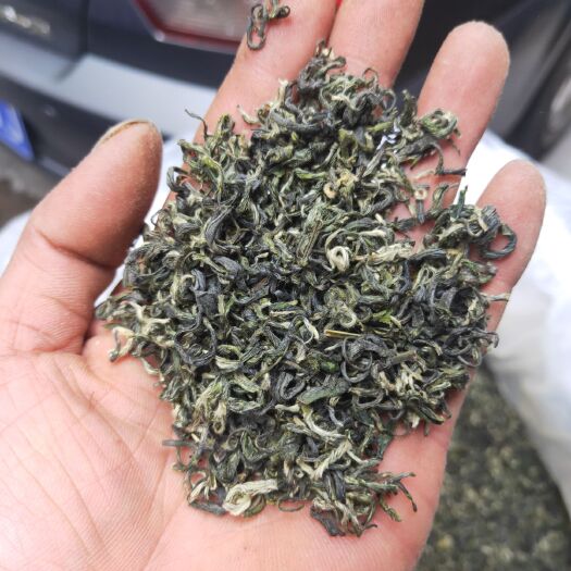 独山县 贵州绿茶48每斤支持送货上门。可样品，欢迎各位老板上门看货等