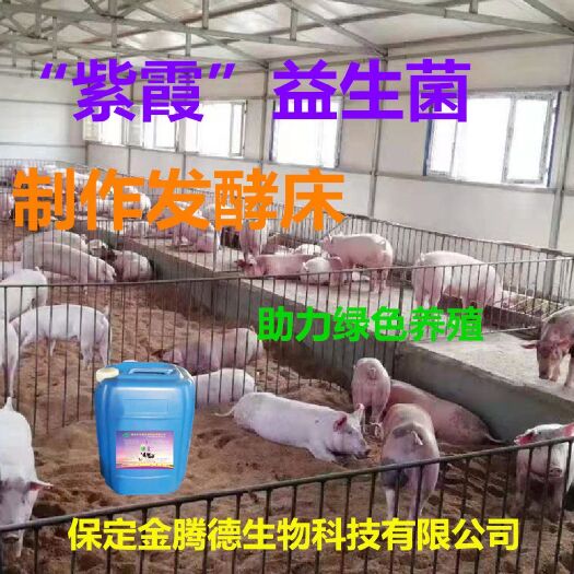 唐县养殖EM菌液 液体益生菌