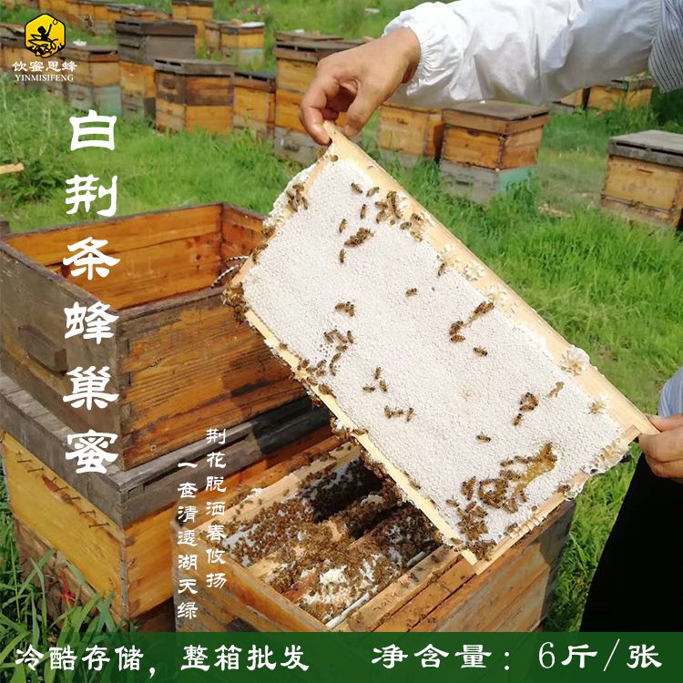 天山雪蜜 2年 42 本品不能代替药物