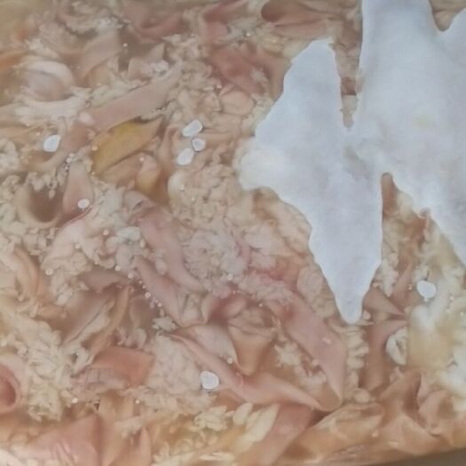 汕头鹅肠