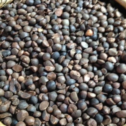 隆林县压榨山茶油  干山茶油颗粒