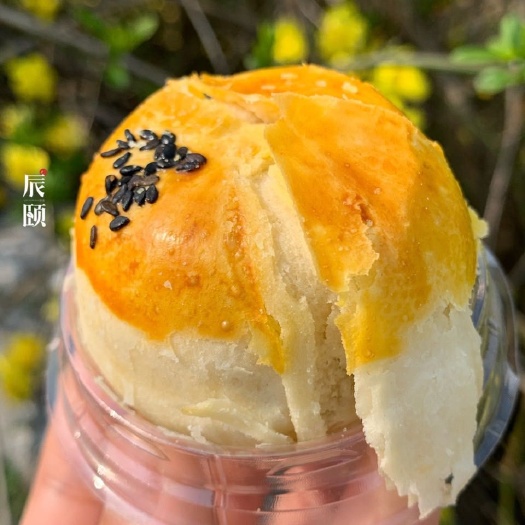 南宁 蛋黄酥