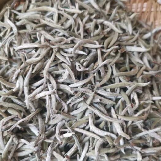 景谷县景谷大白茶 景谷大白芽茶