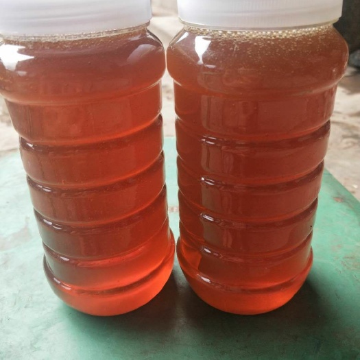 勐腊县云南西双版纳深山老林天然野蜂蜜大挂蜂蜂蜜