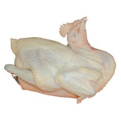 成都 鸡肉褪毛去内脏