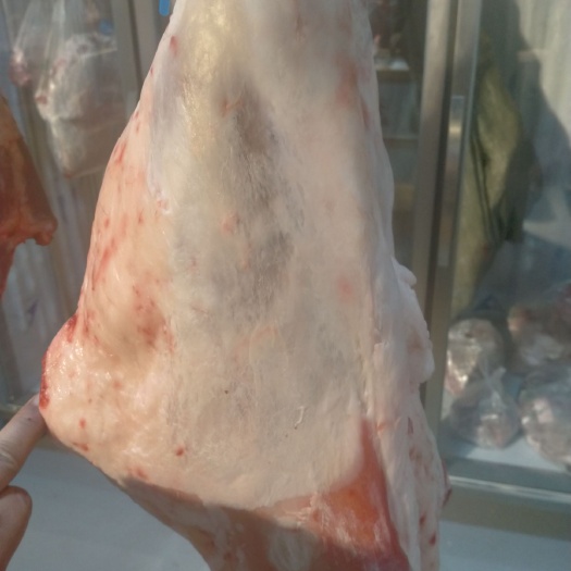 羊腿肉  宁夏滩羊肉