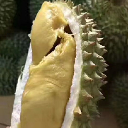 凭祥市 泰国金枕，甲仑，猫山榴莲