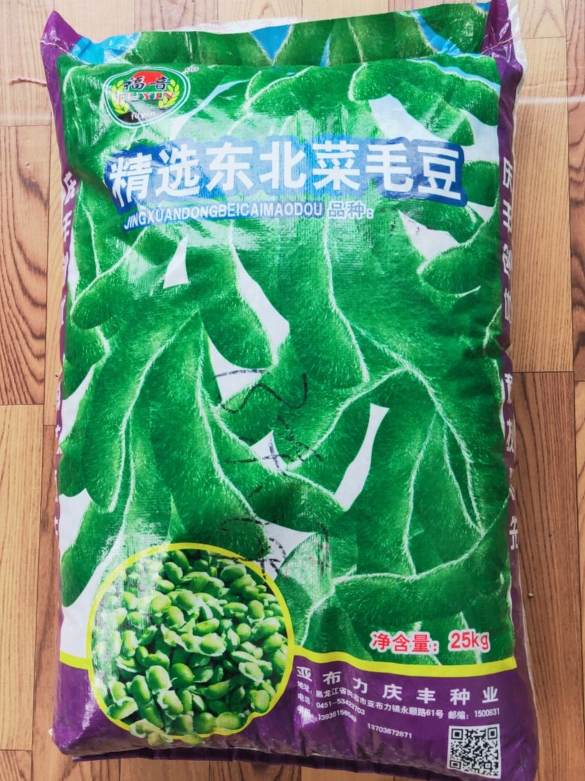 金乡县早熟毛豆种子  产量高，商品性好！