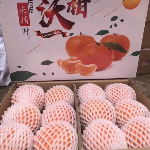 宾川县 大理宾川沃柑