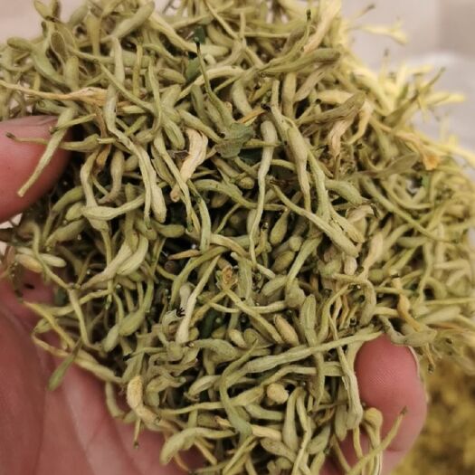 巨鹿县 金银花，质量好，产地直发