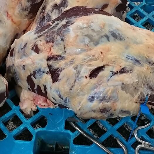 牛肉类 新鲜牛后腿肉，前腿肉，干货