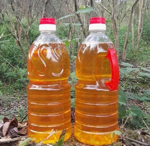 隆林县广西隆林山茶油