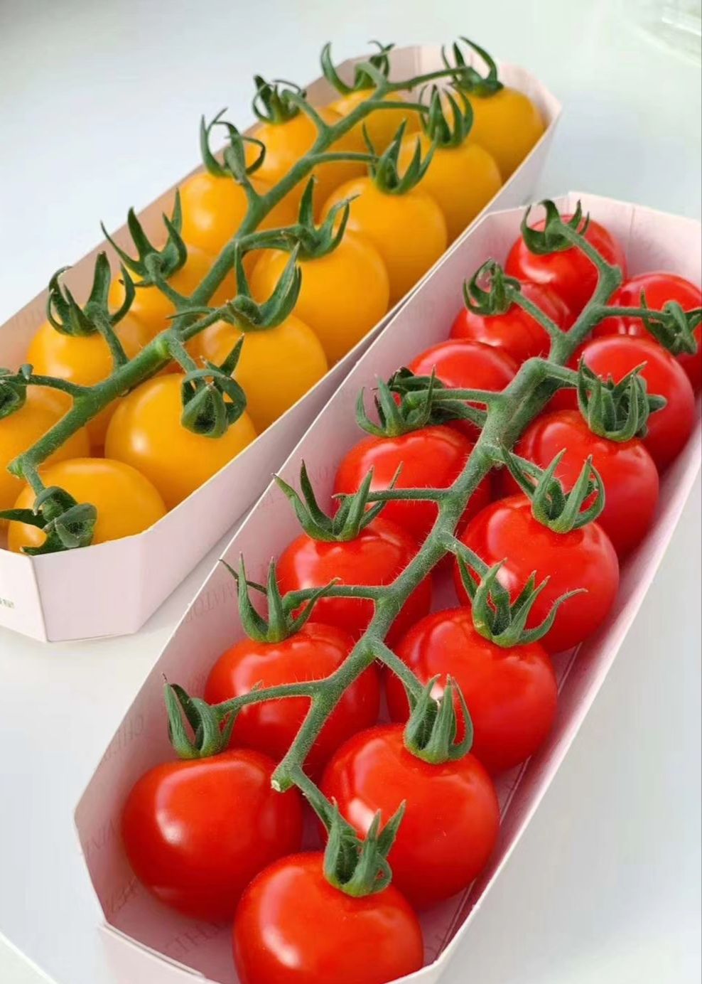 小番茄  红串收柿子，黄串收柿子，产地直供，可发全国。