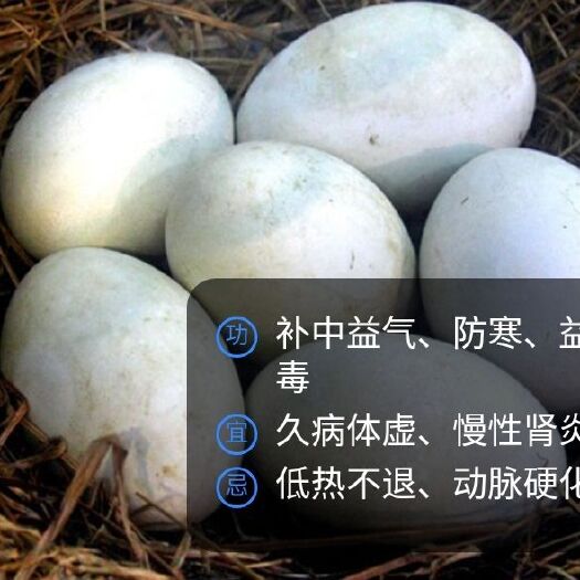 临泉县 正宗农村散养新鲜鹅蛋，绿色，健康，营养，大鹅蛋，土鹅蛋