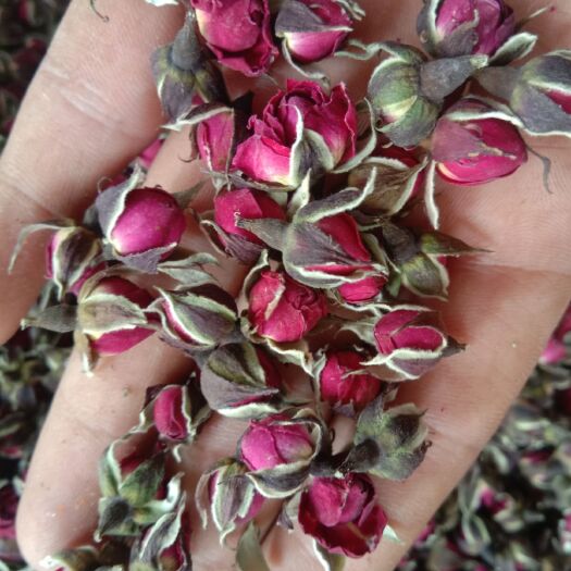 亳州玫瑰花茶 玫瑰花，金边玫瑰