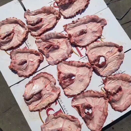 临沂猪肉类  优质肥猪护心肉到货了