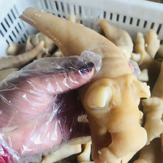 阳信县牛蹄皮