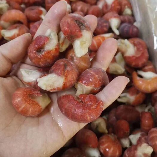济南 特级龙虾尾