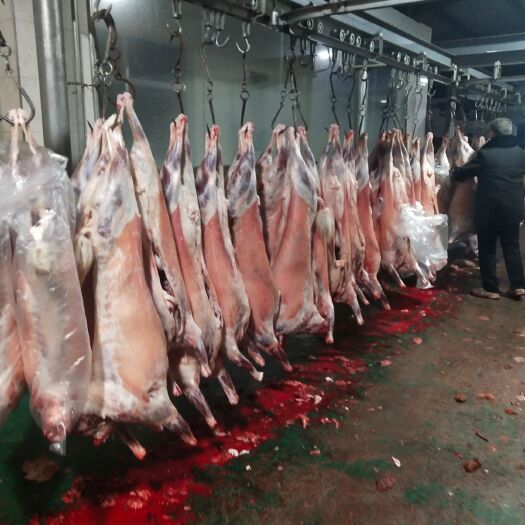 榆林 横山羊肉批发中心
