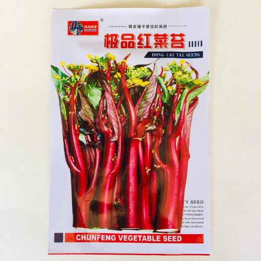红菜苔种子   红菜苔绿菜苔种子买一包送一包全场包邮