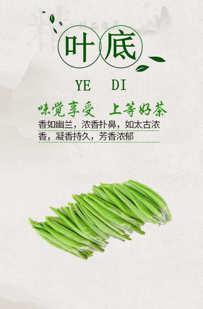  峨眉山高山有机绿茶竹叶青批发零售