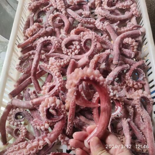 荣成市章鱼 印度洋 全长须 全水足