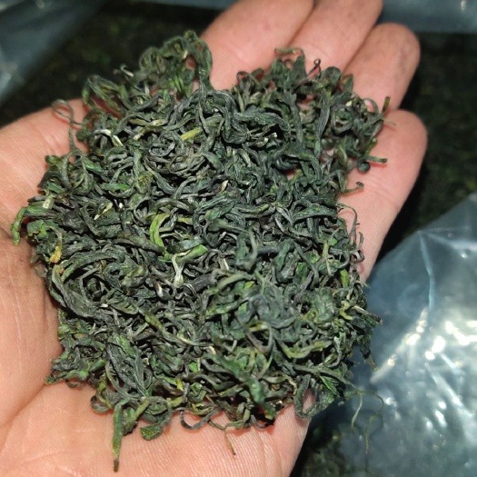 三江县 2020年春茶明前茶二级绿茶碧螺春毛尖