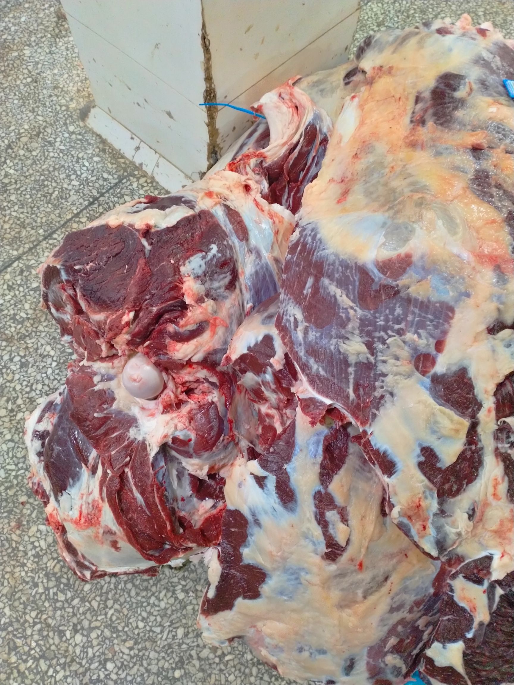 牛肉类 精品黄牛后腿肉