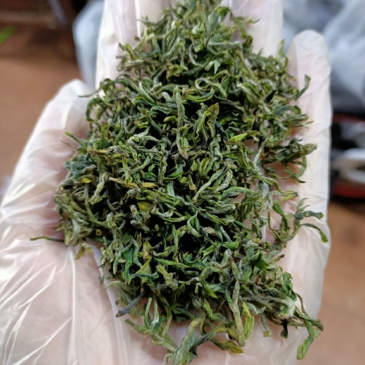 日照 日照绿茶2020露天春茶预定！开园头采茶尝鲜！！
