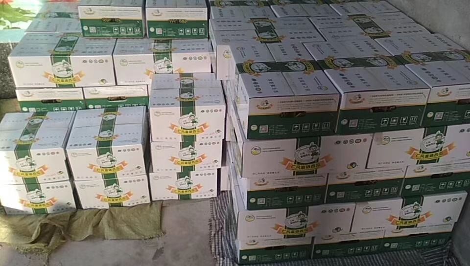  仁风富硒黄壤西瓜