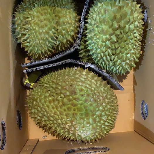 南宁泰国榴莲 质量很好