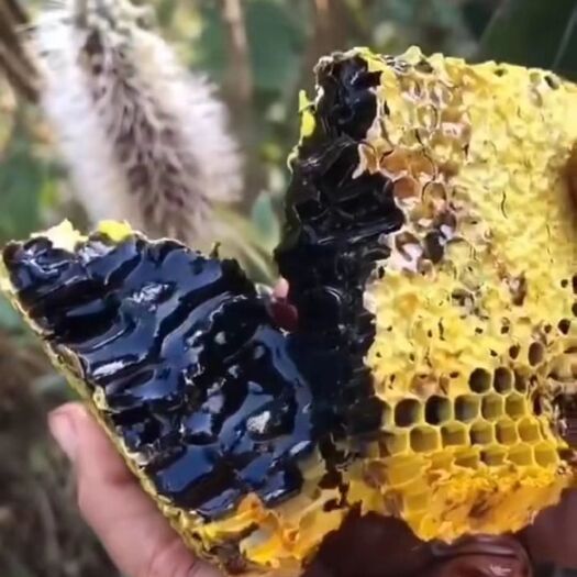 景洪市 黑晶蜂蜜，蜜中黄金，物稀为贵，但是我这里你可以拿到批发价，