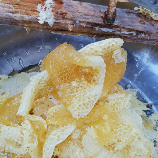 儋州市 海南百花蜜