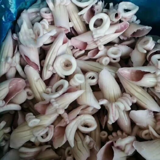 荣成市冷冻鱿鱼  鱿鱼牛角花