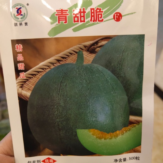 青甜脆甜瓜种子~早熟高品质薄皮甜瓜，抗病性强16度，