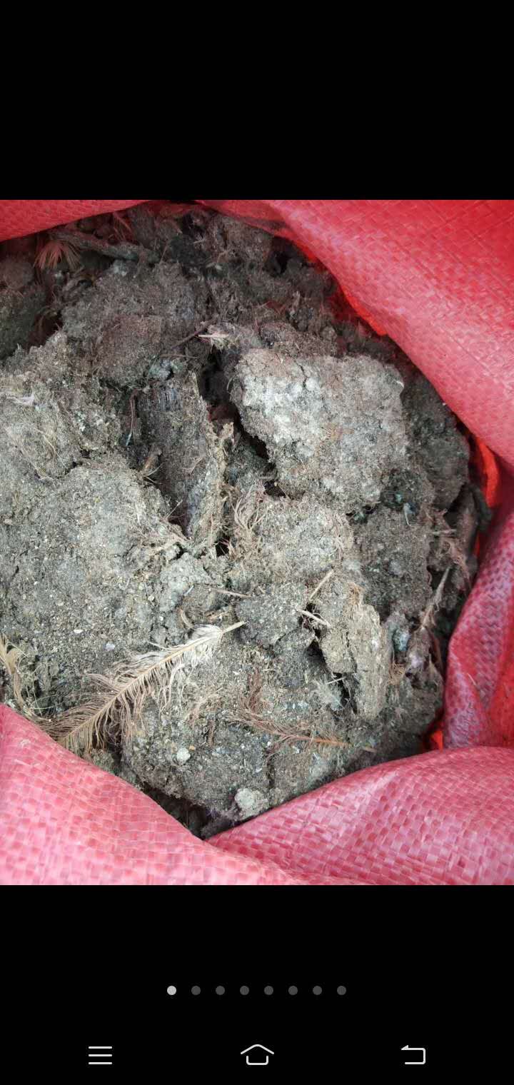 大量批发各种鸡粪，纯鸡粪，谷壳鸡粪