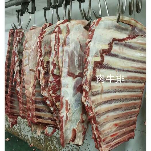 大厂县牛排骨 国产肉牛排