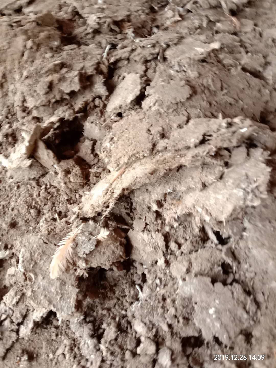 大量批发各种鸡粪，纯鸡粪，谷壳鸡粪