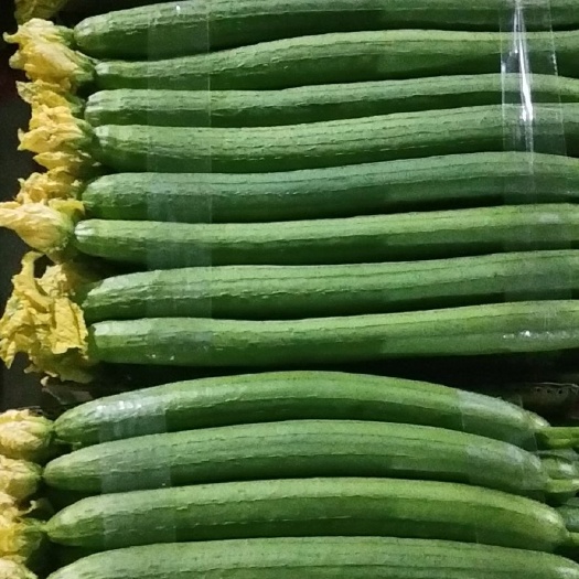 东海县超市精品鲜花丝瓜