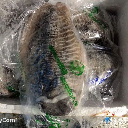 北海北部湾海域大墨鱼3-5斤左右一个