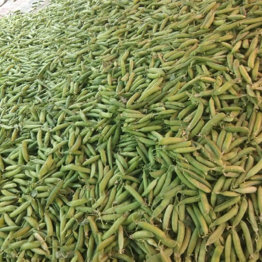 萧县农场 天然绿色农产品