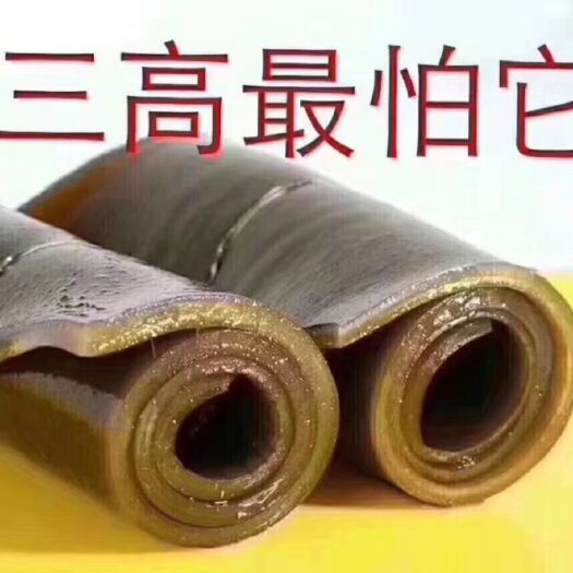 烟台海带  中国海带之乡，山东大钦岛一级出口带，洁净水域