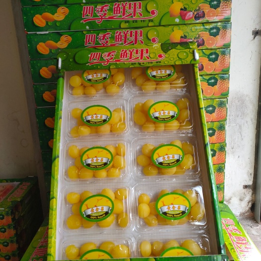 长沙黄金果果脯 网红水果，黄金果，金西梅