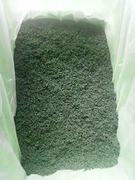 汉中绿茶  2023新茶 明前茶 汉中炒青 ！