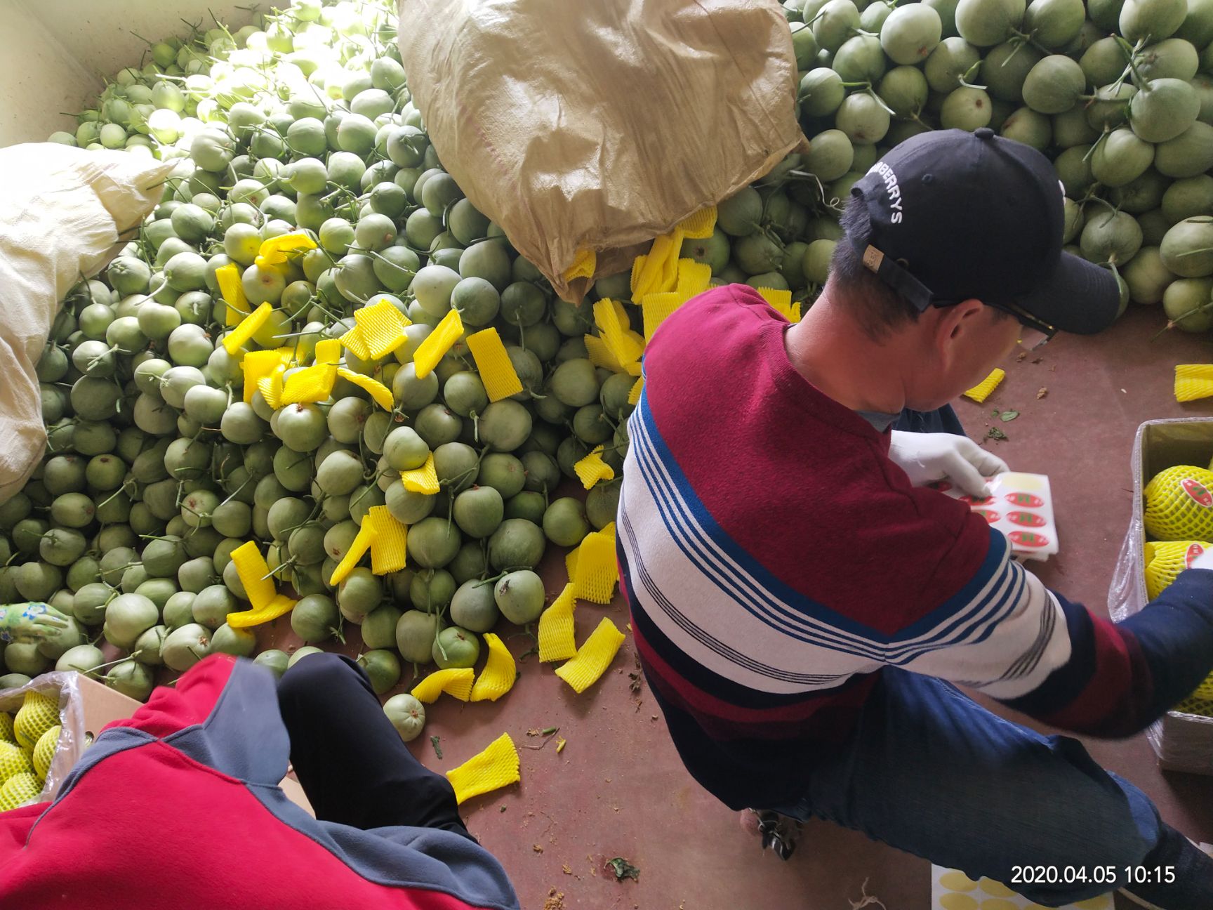 绿宝石甜瓜  大量供应产地精品绿宝，果型皮毛好糖度高，欢迎咨询或来本地考察